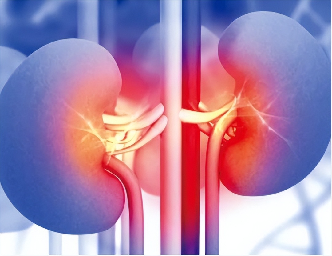 慢性病造成的肾脏伤害怎么治疗,自身免疫性疾病会引起哪些病