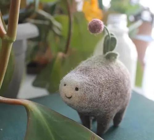 奇形怪状的羊毛毡,奇形怪状羊毛毡