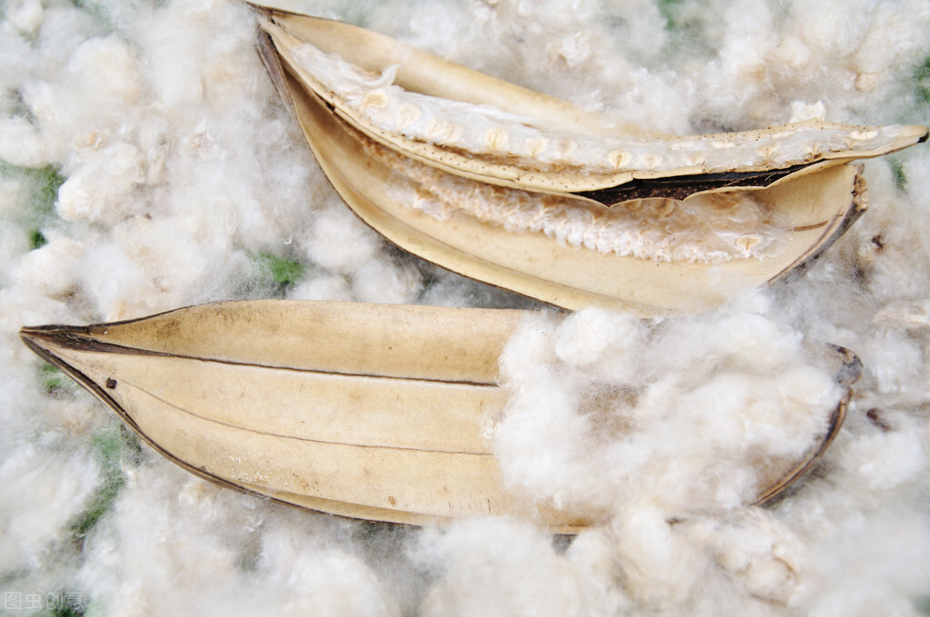 涤棉混纺窗帘优缺点,涤棉混纺和纯棉的区别