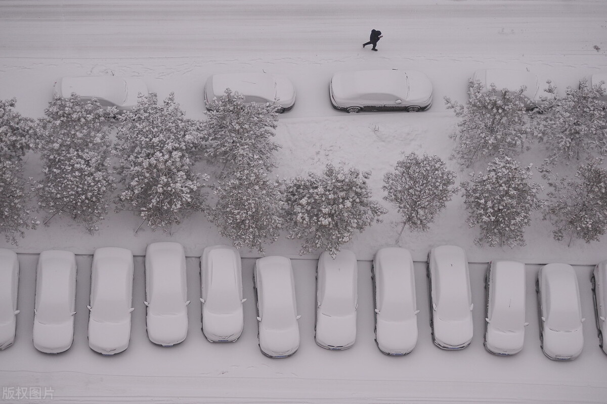 苹果期货一手涨10%挣多少钱,介绍苹果期货疯狂涨势背后的原因