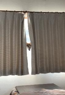 女厕的诡异之处,女厕所发现怪异男尸