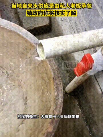 广西自来水出现蚂蟥,广西居民用水出现蚂蝗