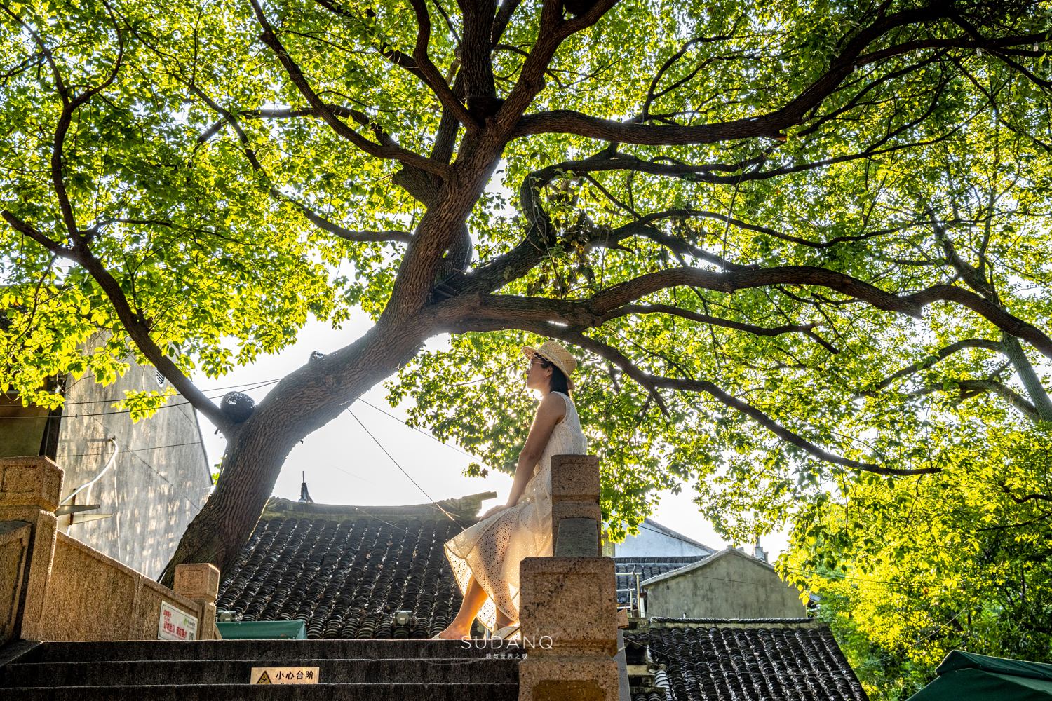 同里古镇为什么叫东方威尼斯,苏州水乡古镇同里