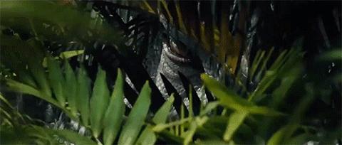 畅玩！放松遛娃，清新山海去哪里→