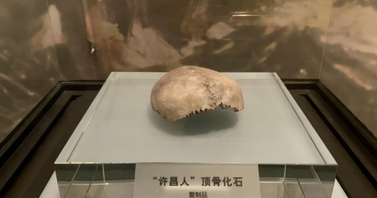 人类的祖先真的是亚当和夏娃吗,人类进化论的化石证据