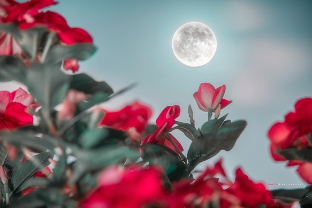 励志正能量句子摘抄大全,励志正能量句子经典短句