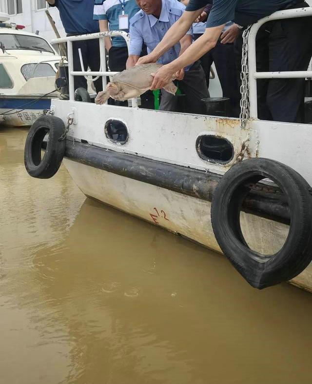 广东钓友半夜逮了只十多斤“老鳖”，鱼贩：260卖不卖？