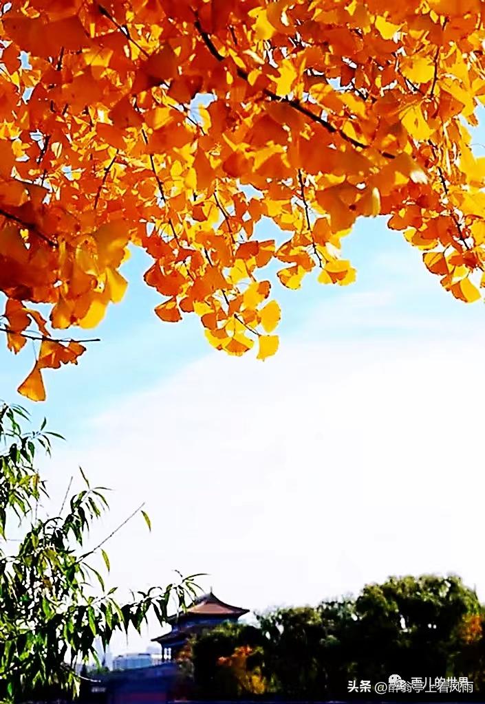 人间三千事淡然一笑间,人间三千事淡然一笑间原文