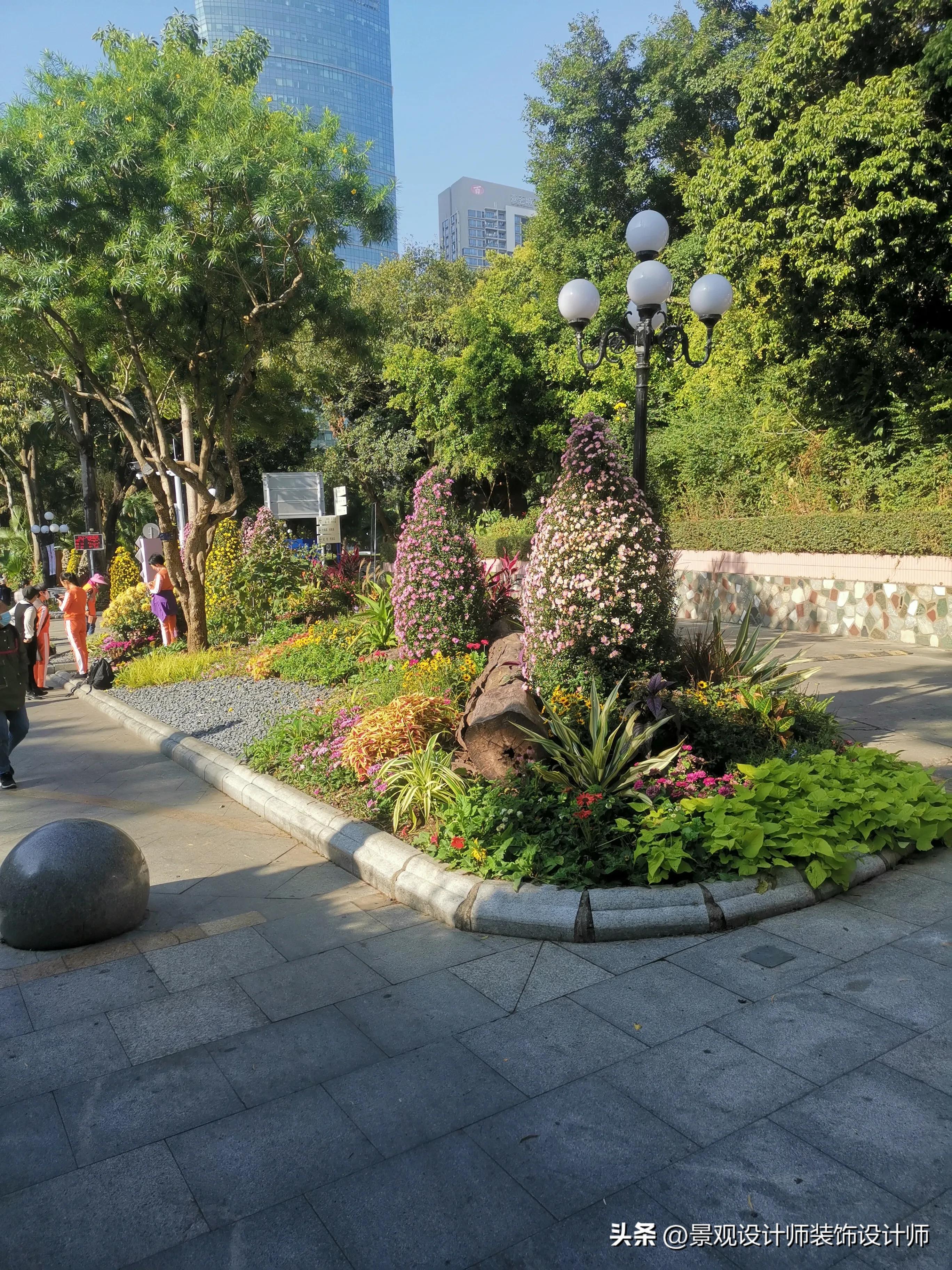 深圳市东湖公园广场舞,深圳市东湖公园收费标准