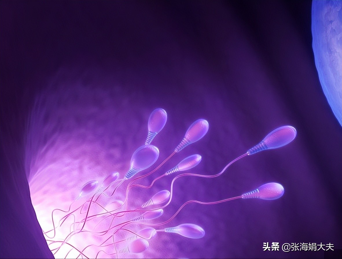 男人备孕需要检查哪几项,备孕4个月未怀上需要做哪些检查