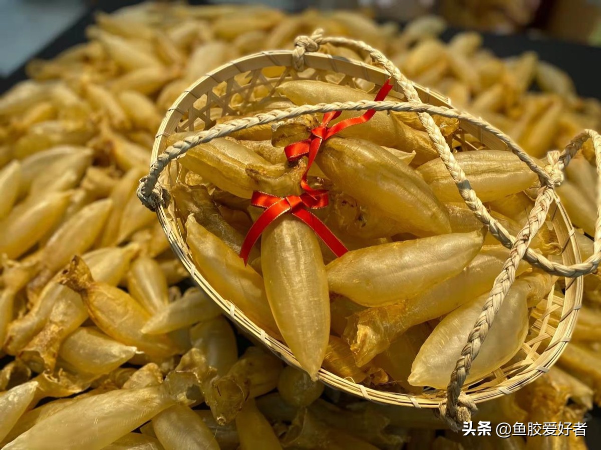 最全鱼胶品种大全,值得收藏的鱼胶品种