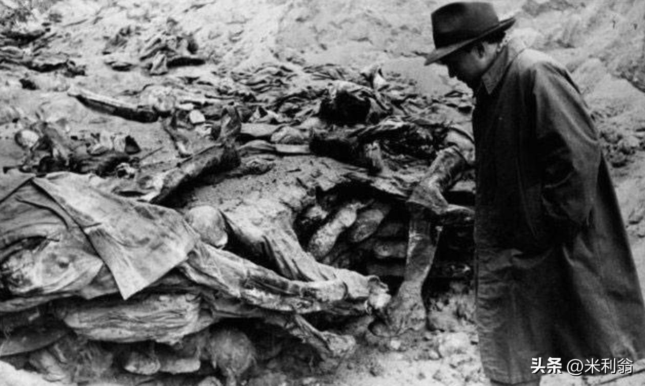 他们携手瓜分波兰，建立集中营，为何斯大林和希特勒的风评不同？