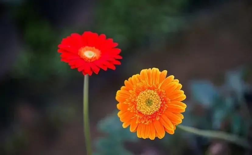 46岁女人自述：母亲病逝三年后，感谢父亲娶了我小姨