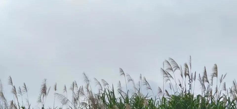 五月回顾及展望,五月份自己的感悟