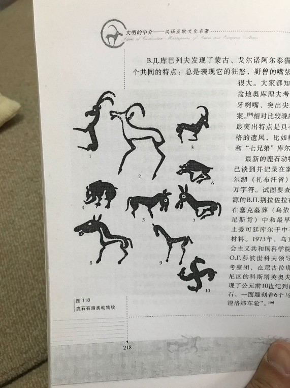 人类起源新说,人类起源新论完整版