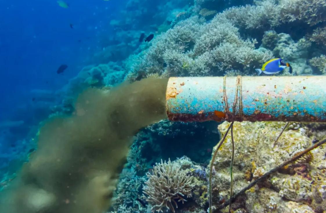 日本台风是不是停止核废水排放,美国支持日本排放核废水原因