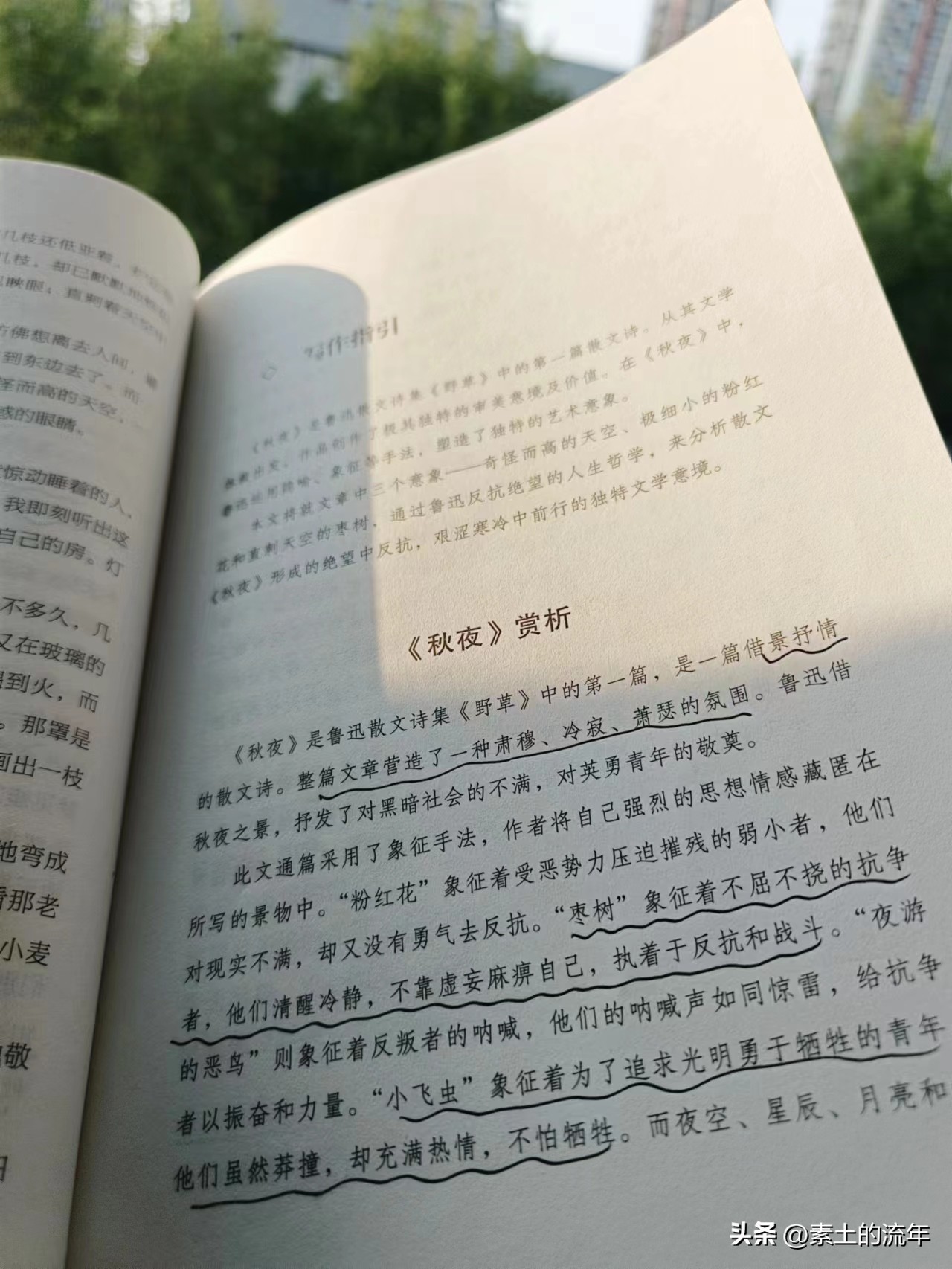 学写作入门的八种技巧讲座,写作小白入门技巧