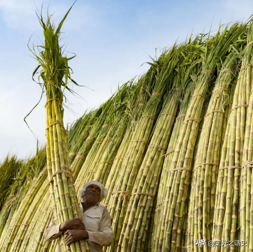 巴基斯坦为什么和中国这么铁,巴基斯坦和中国到底有多铁