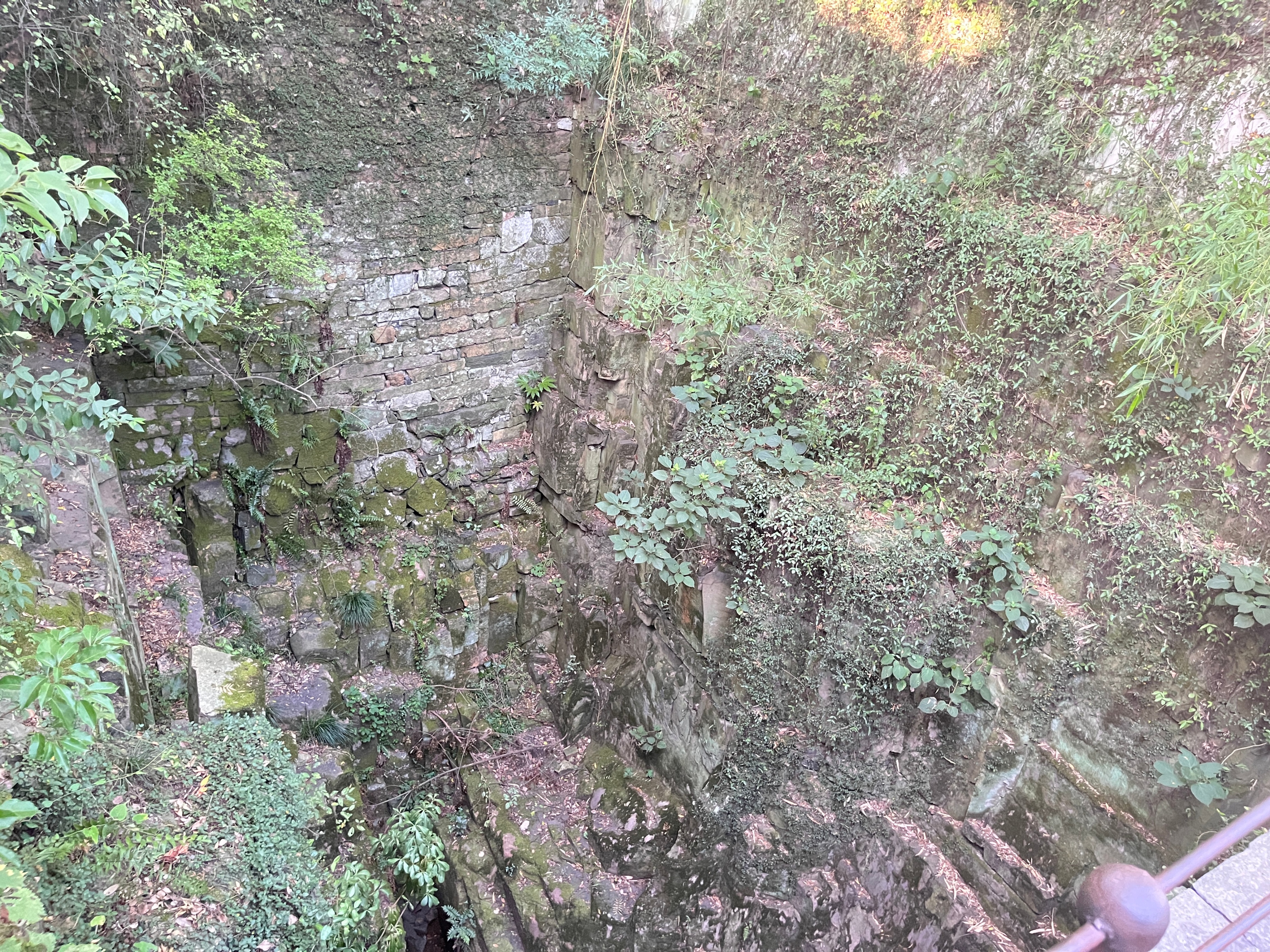 虎丘在苏州景区里值得去吗,苏州虎丘十大必去景点