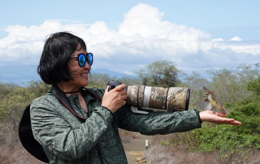 珍稀野生动物鸟类图片朱鹮,我国珍稀鸟朱鹮图片