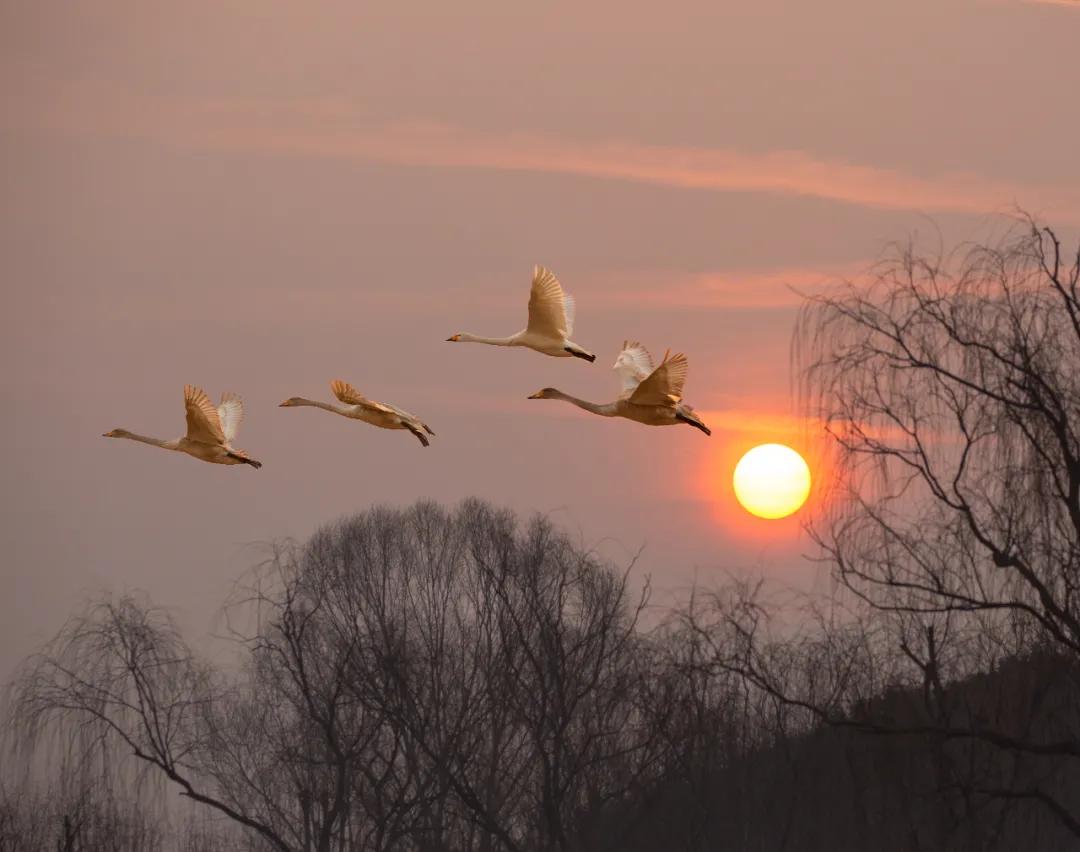 济南必去的打卡地,济南必去的十大打卡地