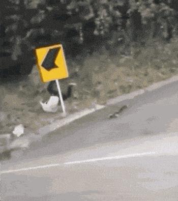 无意间看到弟弟浏览记录怎么办,刚看到弟弟的聊天记录怎么办