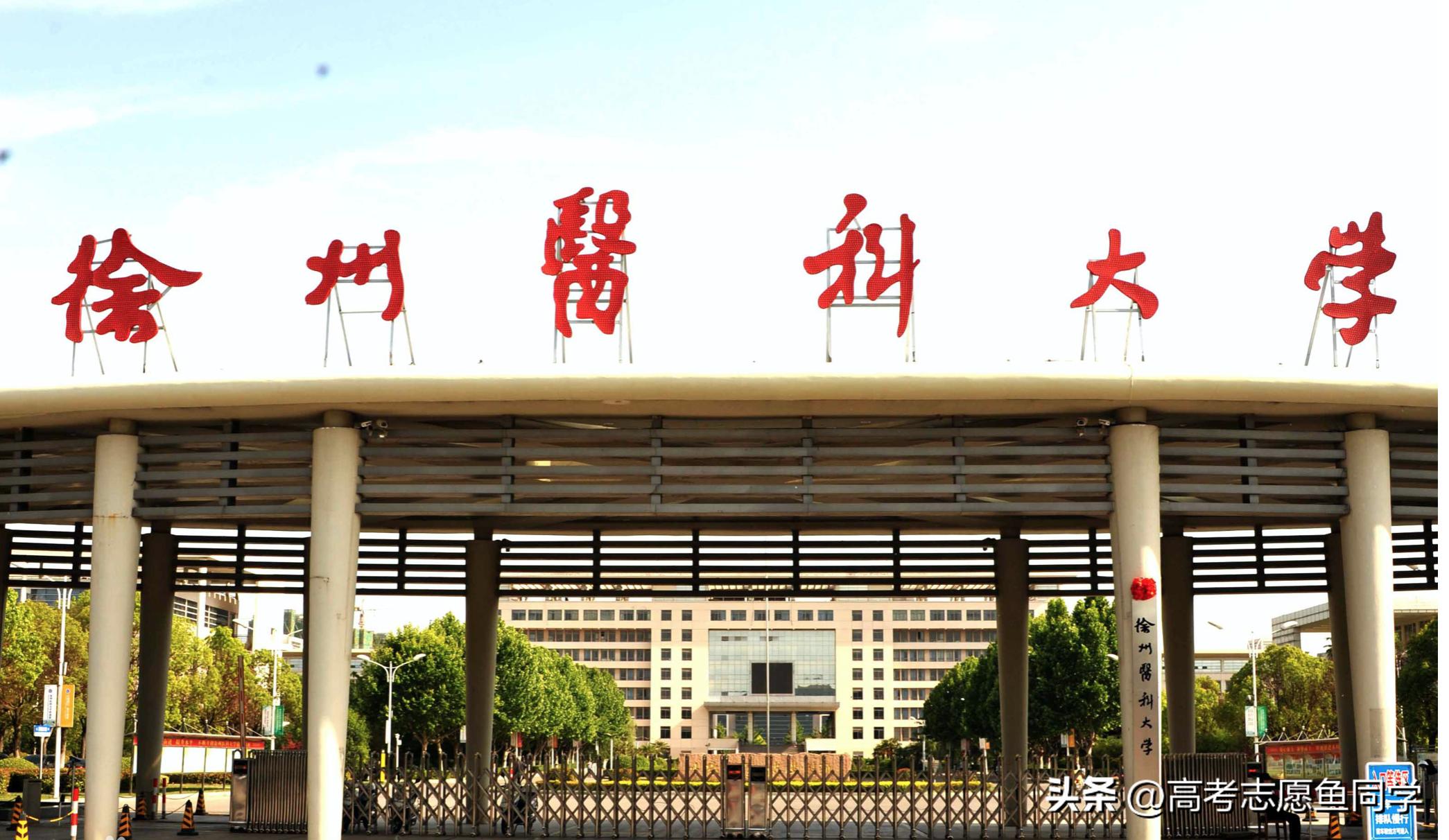 国内较好的医科大学,性价比最高的医科大学