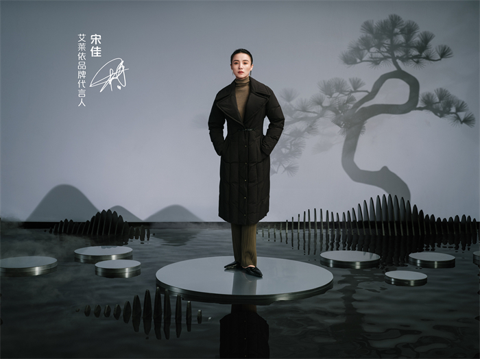 宋佳代言艾莱依今年新款,艾莱依宋佳同款鹅绒服