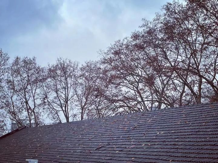 年味浓迎新春南京,迎新春展春联