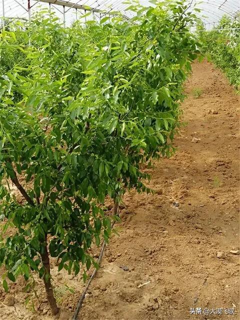 平凡人的创业故事简短,平凡人创业故事纪录片