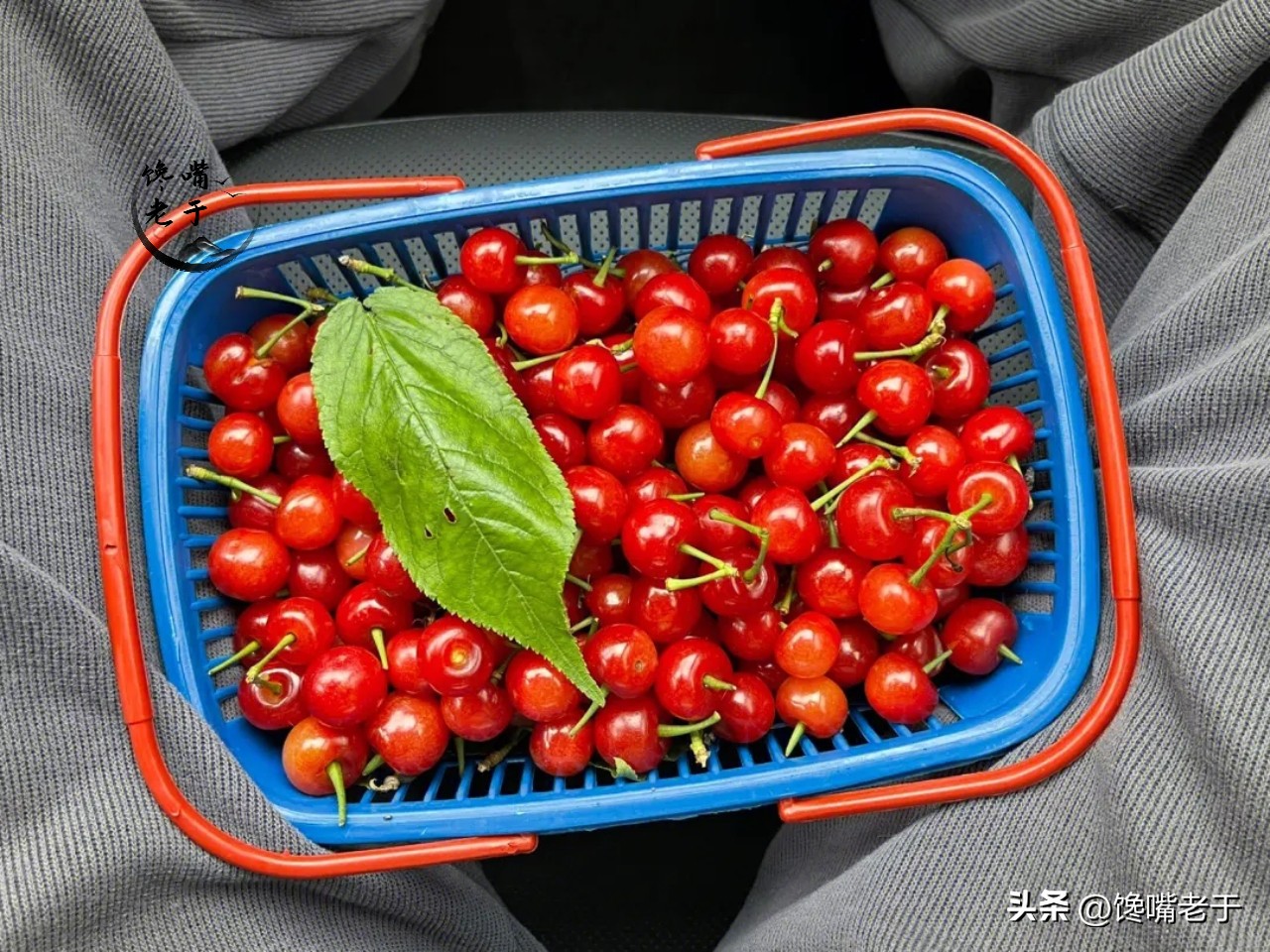 1.5阳吃什么能提高免疫力 (阴阳双补提高免疫力抵抗力)