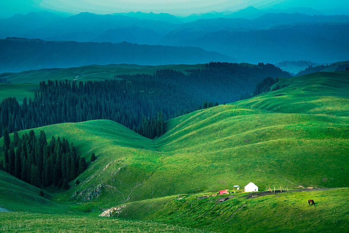 清热泻火利尿通淋的中草药,尿频尿急尿不尽中医辨证施治