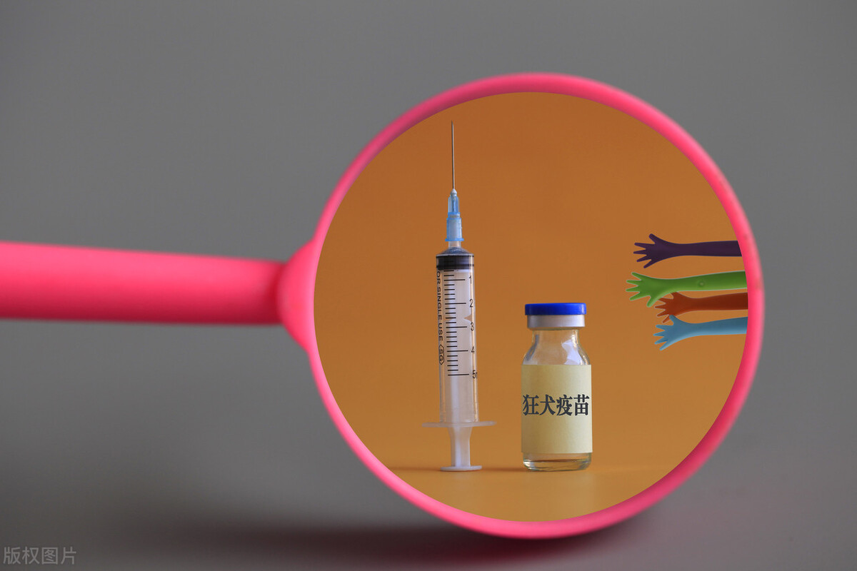 被猫咬了不用打狂犬疫苗,被猫咬了不用打狂犬疫苗吗