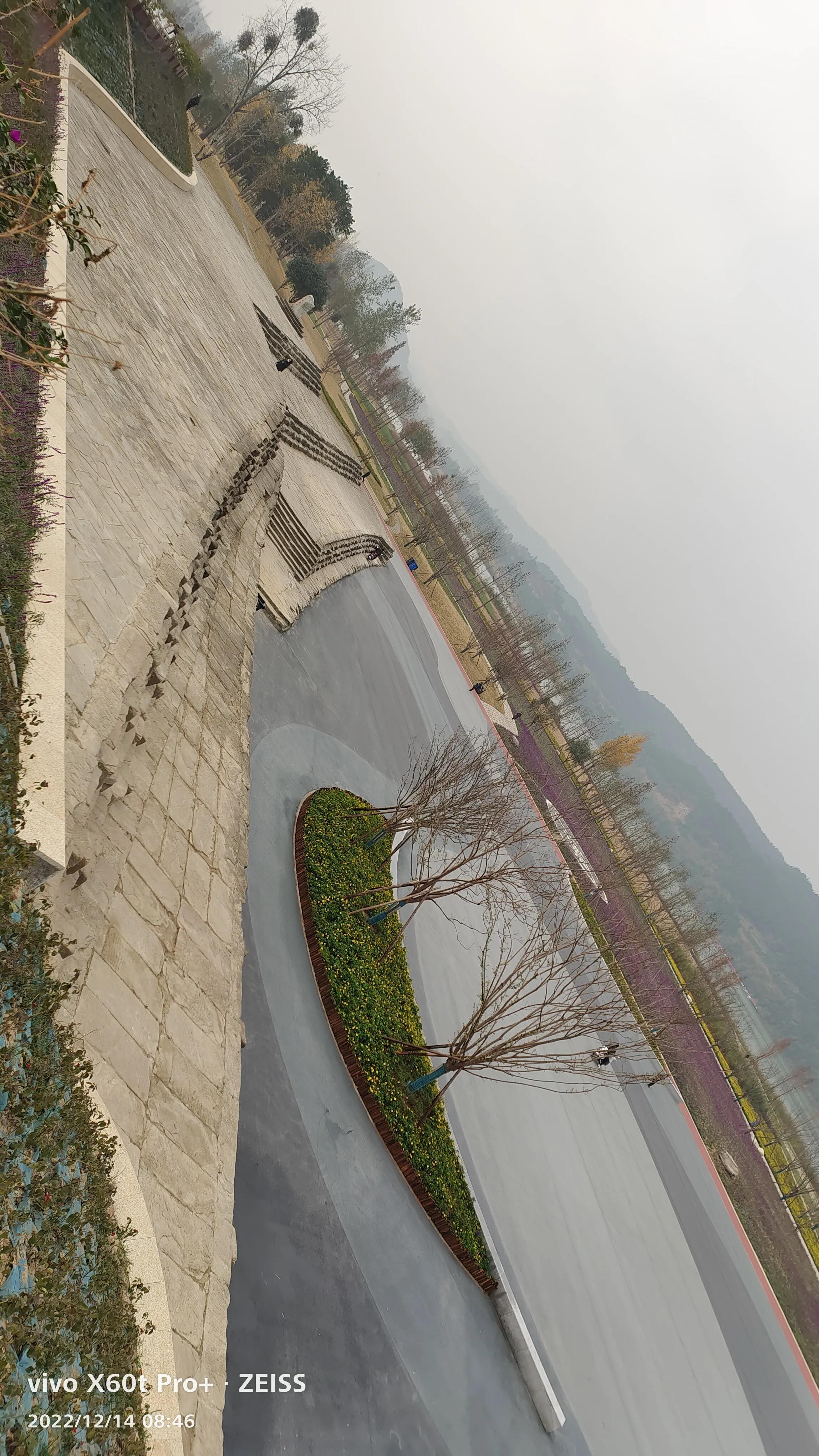 阆中鱼翅广场历史介绍,阆中鱼翅遗迹