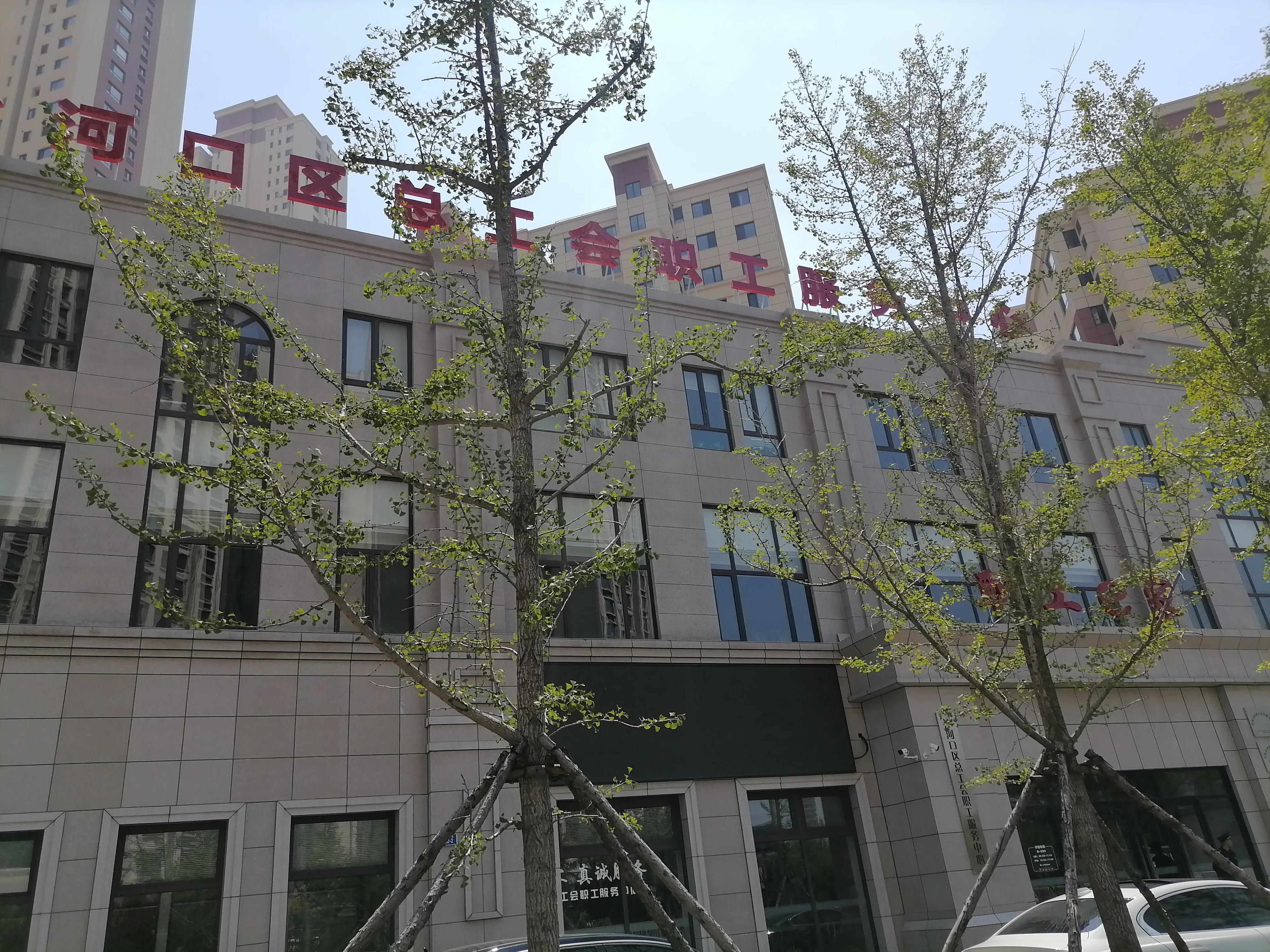 到大连星海广场应该玩点什么,大连兴工街到甘井子万达坐什么车