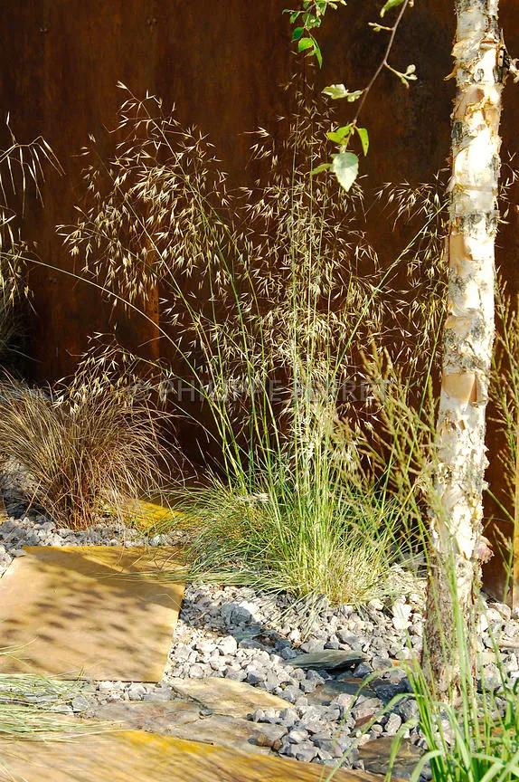 花园适合种的植物,在花园种植哪些植物比较适合