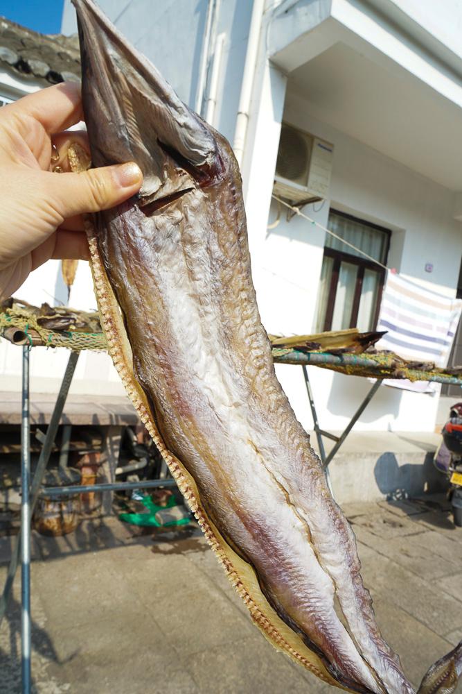 到浙江舟山群岛来体验慢生活吧