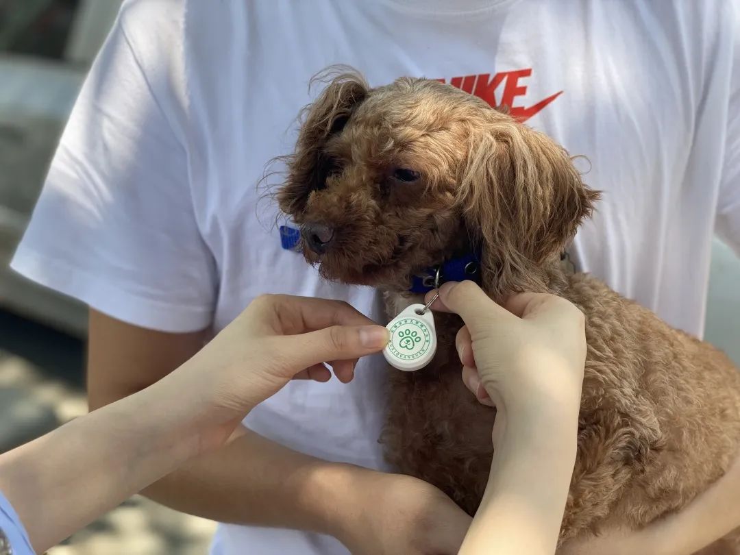 閬佃瀹堢煩鏂囨槑鏈夌ぜ,閬佃瀹堢煩涓ヤ簬寰嬪繁