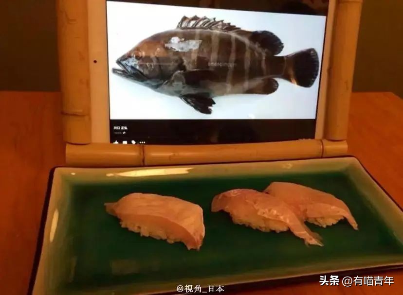 非洲雄狮打群架,俄罗斯战斗民族跟狮子打架