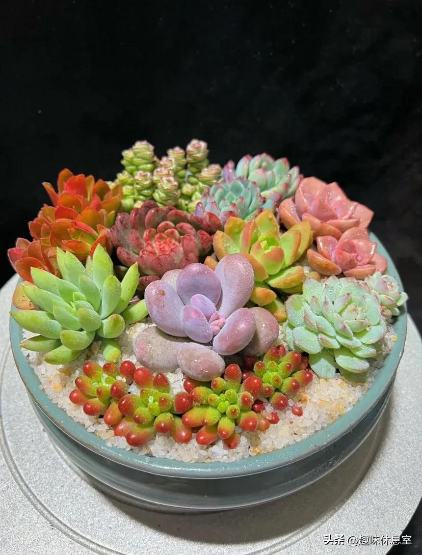 心理测试你喜欢哪种花,心理测试你更喜欢哪个色块