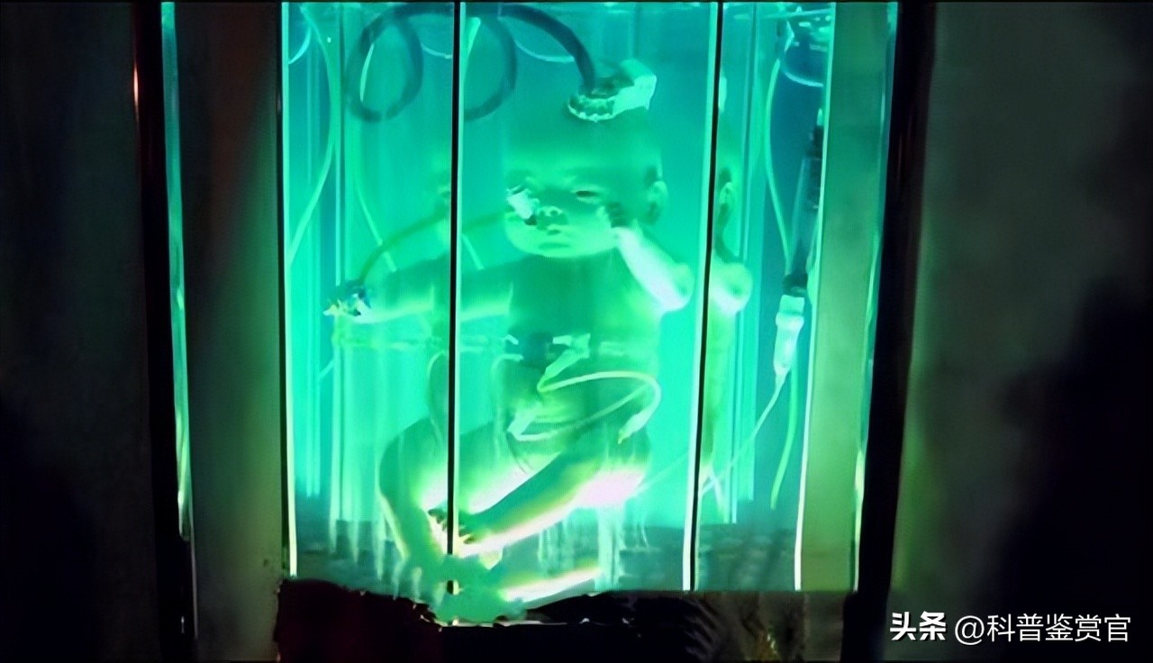 现在人类可以造出人工子宫吗,人造子宫到2025年会不会投入使用