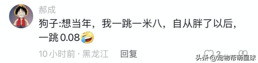 狗狗看见晒的腊肉香肠馋得直跳脚,狗子眼红主人吃肉