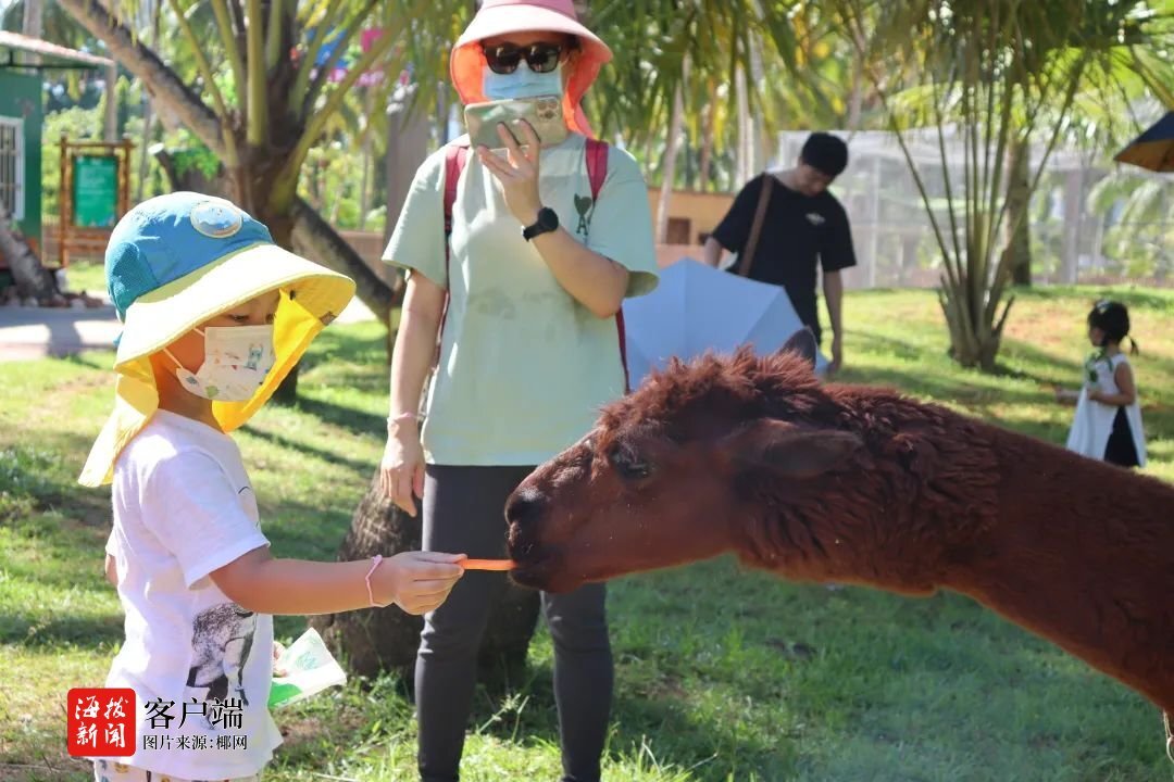 “文”风而至，遇见最美文昌两天一晚自由行路线等你来Pick！