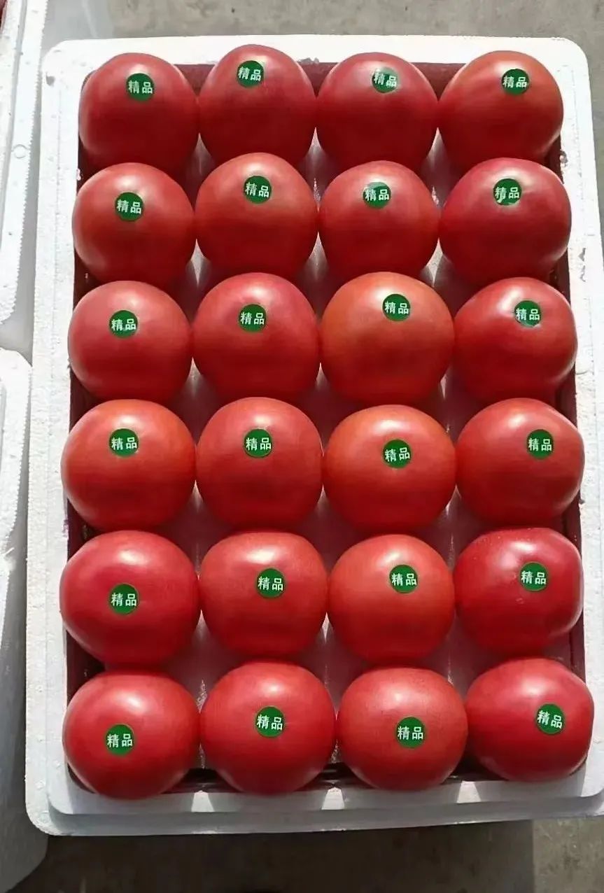 厉害！这个山东蔬菜代办姑娘从跑市场发名片做起，如今卖货俄罗斯