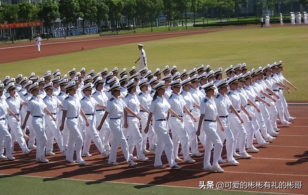 向往大海想考海事类大学，彬哥推荐三所院校，适合各分数段的同学