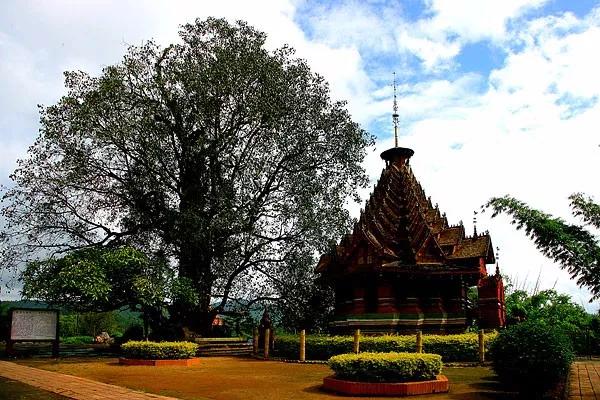 云南西双版纳旅游攻略app,云南西双版纳旅游攻略自由行12月