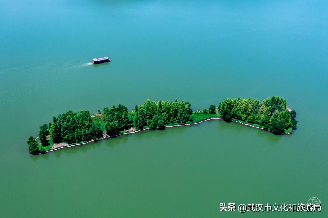 武汉东湖免费看海,武汉看海的最佳地方