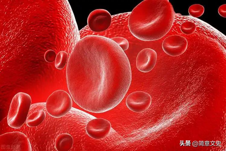 转基因兔子怎么生产,转基因克隆与胚胎发育的表现