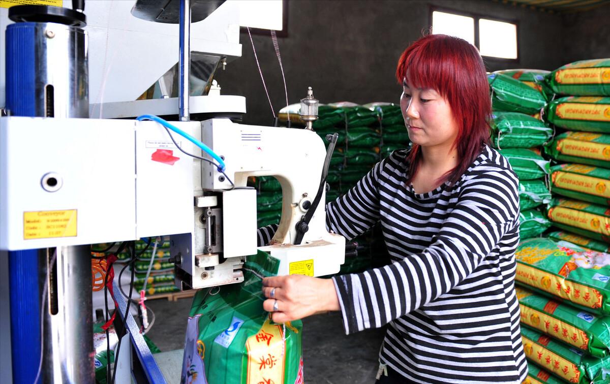 90鍚庡コ瀛╄繑涔″垱涓氱灏忕ɑ,90鍚庤繑涔″垱涓氬ぇ瀛︾敓绉嶆姘寸ɑ