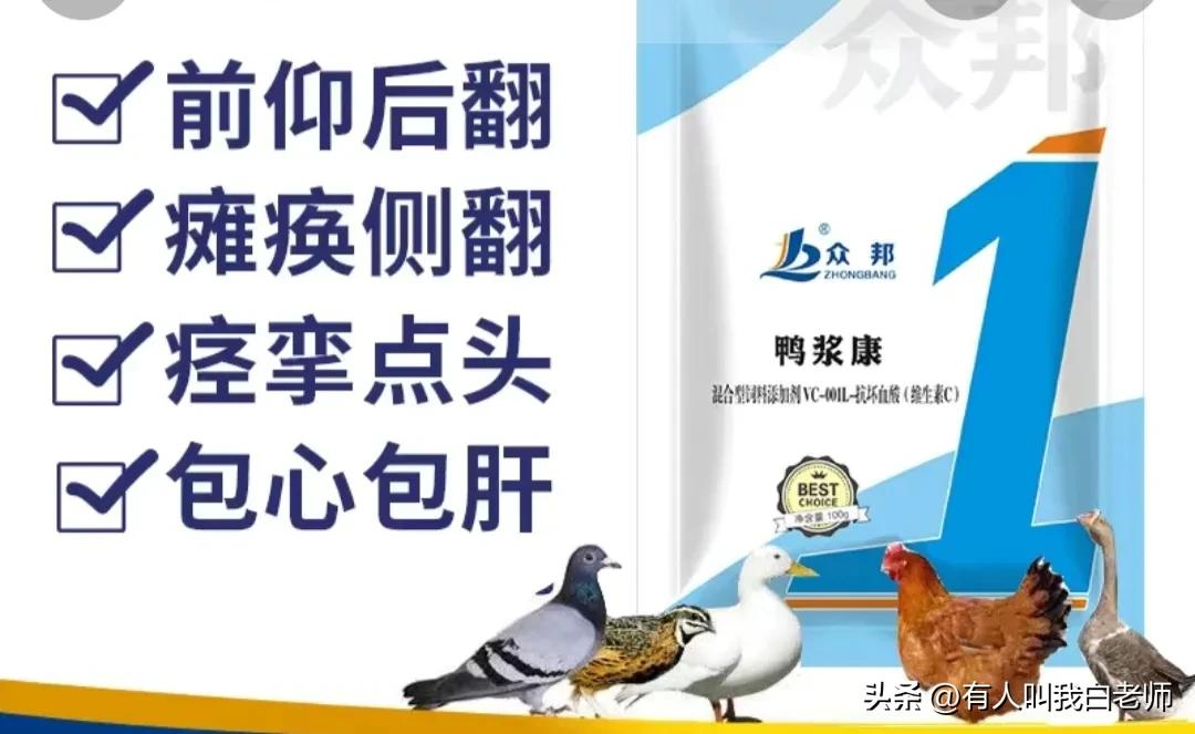 在城里养鸡养鸭,养鸭小孩